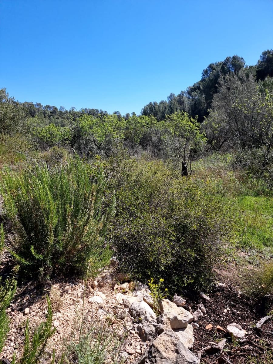 Finca/Country House for sale in Benifallet - € 27,000 (Ref: 9746810)