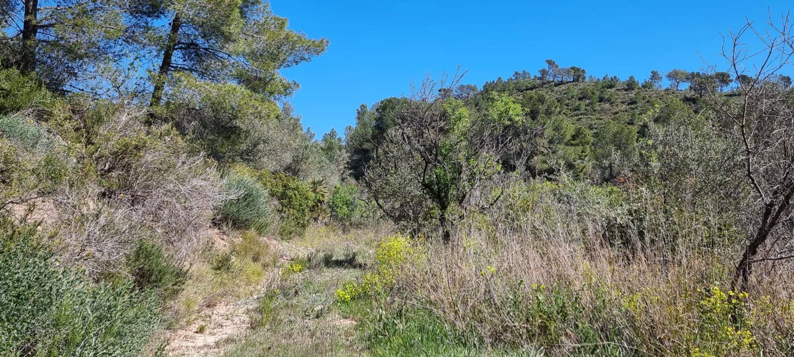 Finca/Country House for sale in Benifallet - € 27,000 (Ref: 9746810)