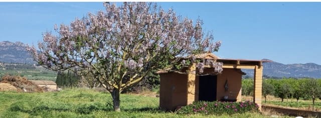 Finca/Landehus til salg i Ginestar - € 17.000 (Ref: 9748365)