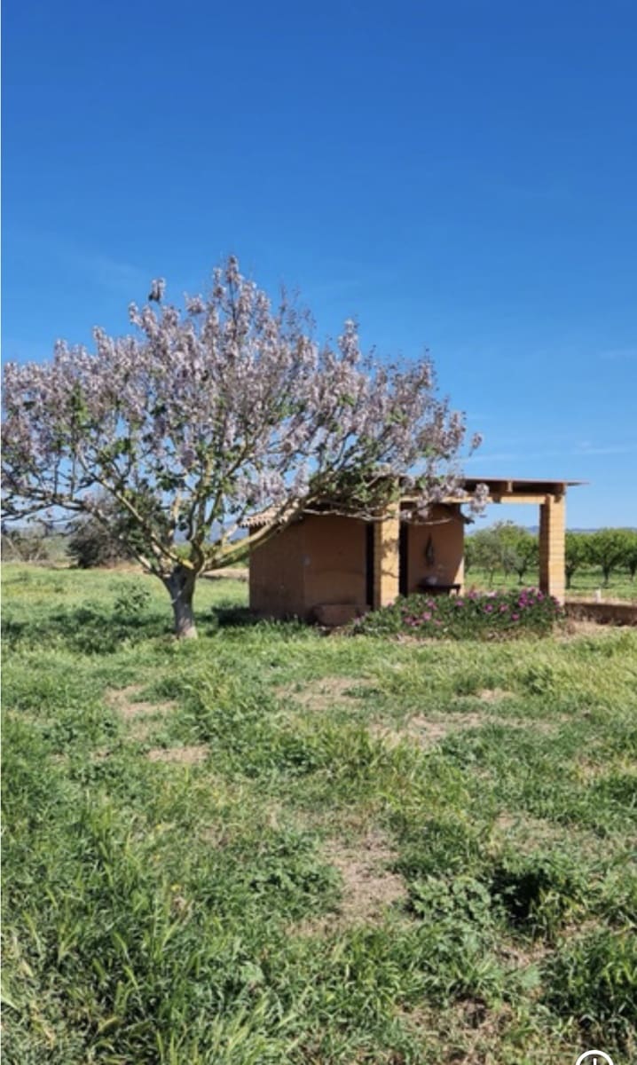 Finca/Landehus til salg i Ginestar - € 17.000 (Ref: 9748365)