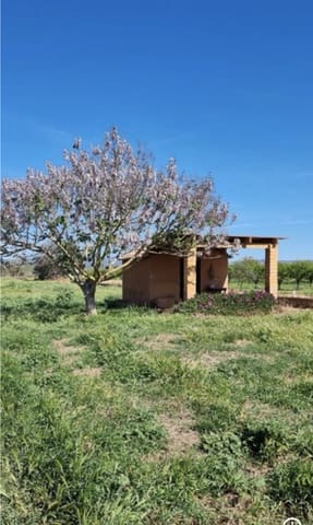 Finca/Landehus til salg i Ginestar - € 17.000 (Ref: 9748365)