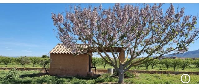 Finca/Landehus til salg i Ginestar - € 17.000 (Ref: 9748365)