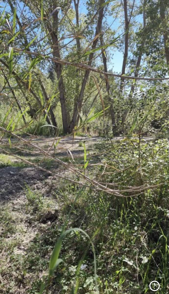 Finca/Herregård til salgs i Garcia - € 10 000 (Ref: 9748366)