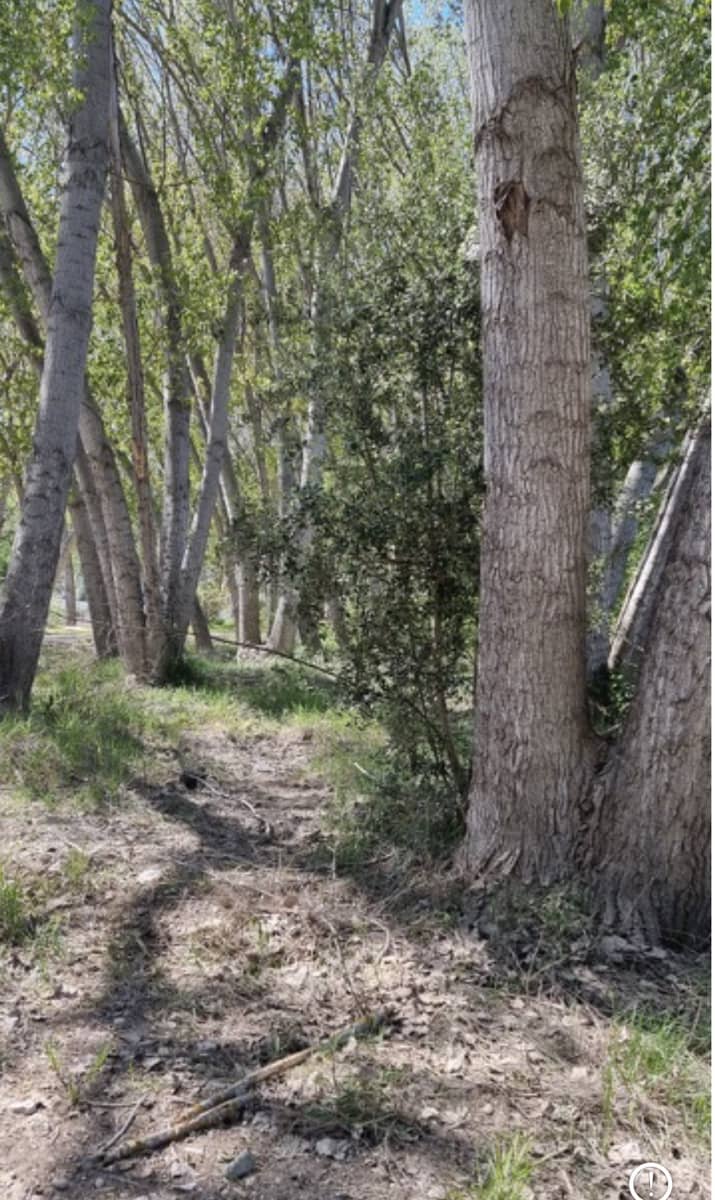 Finca/Herregård til salgs i Garcia - € 10 000 (Ref: 9748366)