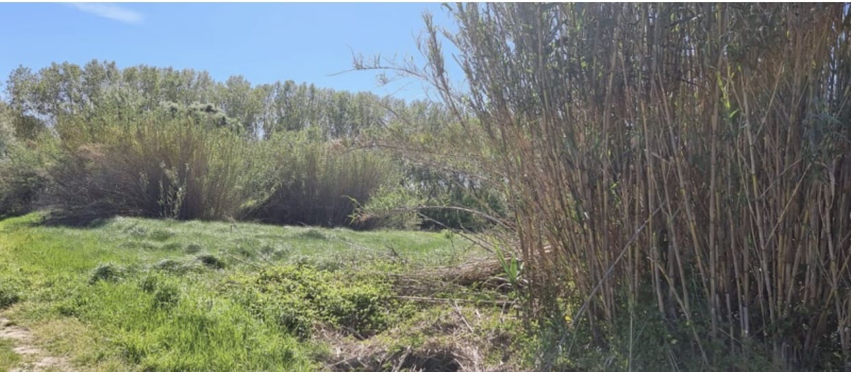 Finca/Herregård til salgs i Garcia - € 10 000 (Ref: 9748366)