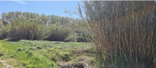 Finca/Herregård til salgs i Garcia - € 10 000 (Ref: 9748366)