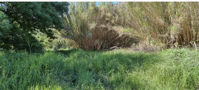 Finca/Herregård til salgs i Garcia - € 10 000 (Ref: 9748366)