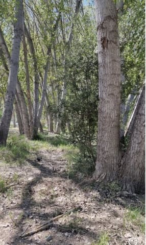 Finca/Landehus til salg i Garcia - € 10.000 (Ref: 9748366)