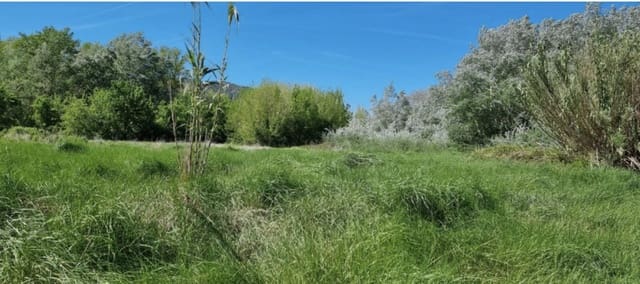 Finca/Landehus til salg i Garcia - € 10.000 (Ref: 9748366)