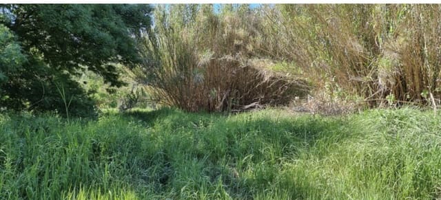 Finca/Landehus til salg i Garcia - € 10.000 (Ref: 9748366)