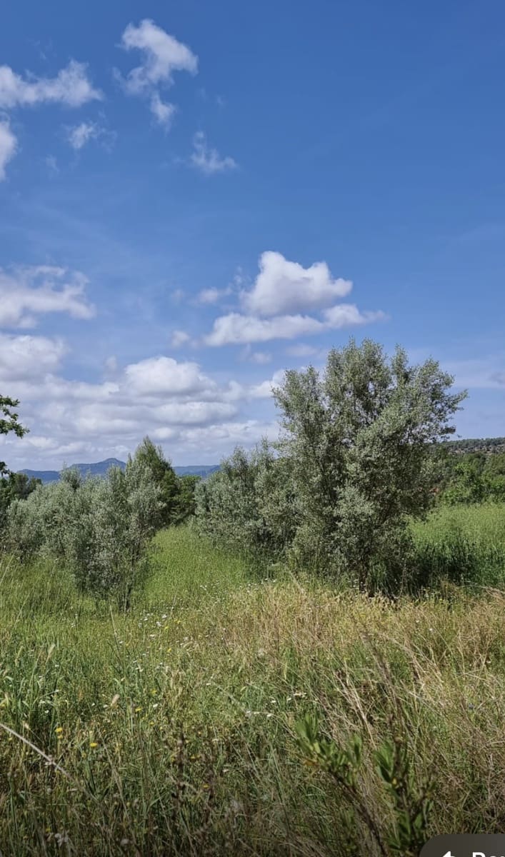 Finka/Dom wiejski na sprzedaż w Tivissa - 165 000 € (Ref: 9796120)