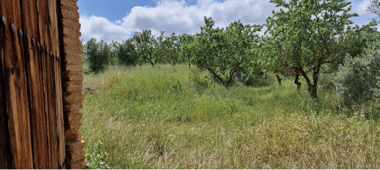 Finka/Dom wiejski na sprzedaż w Tivissa - 165 000 € (Ref: 9796120)