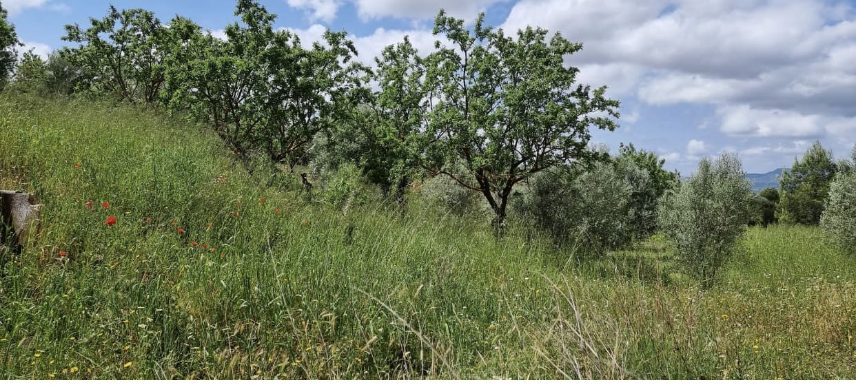 Finka/Dom wiejski na sprzedaż w Tivissa - 165 000 € (Ref: 9796120)