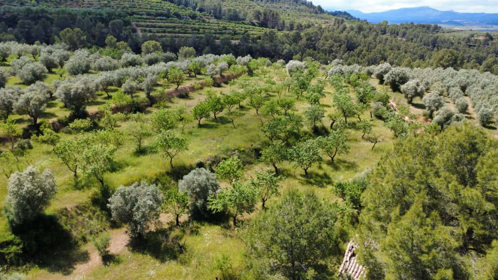 Finka/Dom wiejski na sprzedaż w Tivissa - 165 000 € (Ref: 9796120)