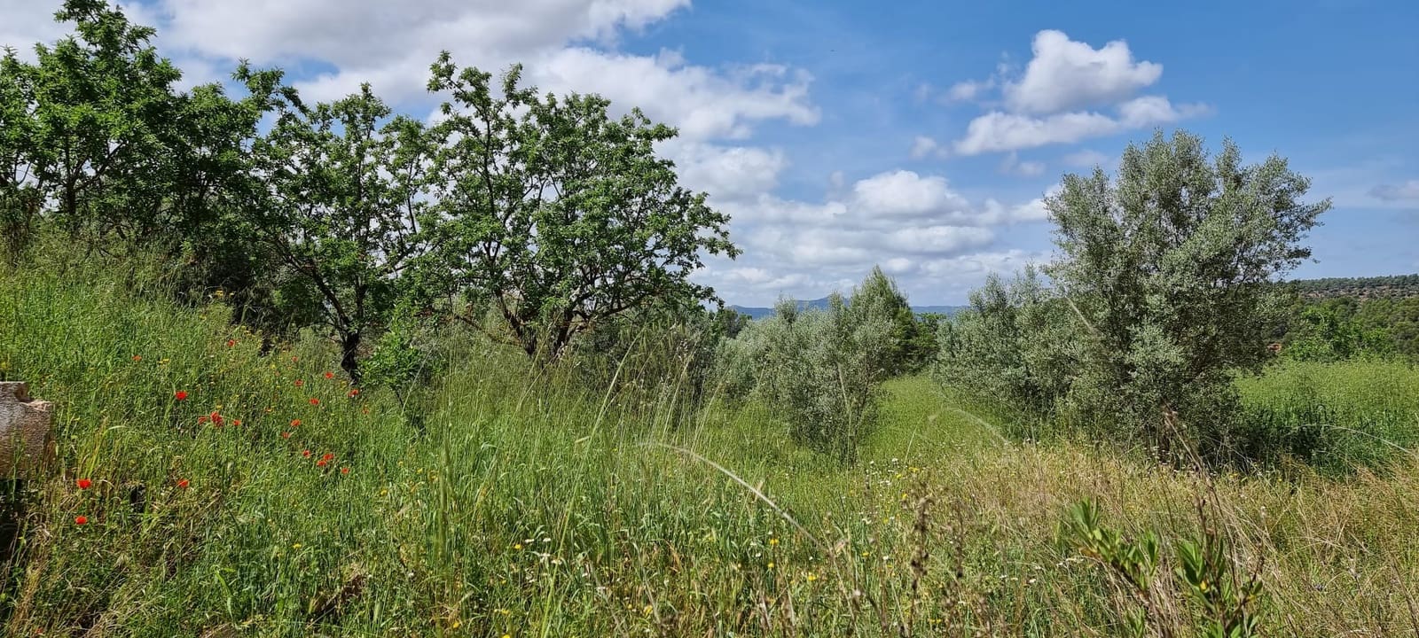 Finka/Dom wiejski na sprzedaż w Tivissa - 165 000 € (Ref: 9796120)