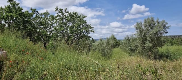 Quinta/Casa Rural para venda em Tivissa - 165 000 € (Ref: 9796120)