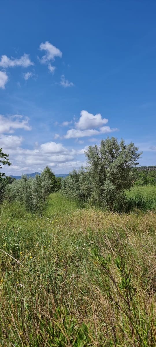 Finca/Herregård til salgs i Tivissa - € 165 000 (Ref: 9796120)