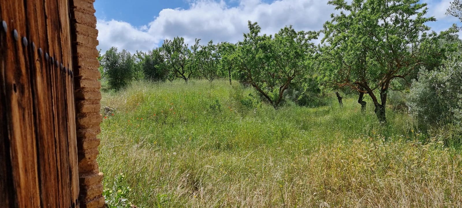Finca/Herregård til salgs i Tivissa - € 165 000 (Ref: 9796120)