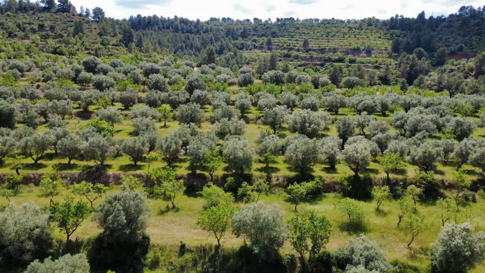 Finca/Herregård til salgs i Tivissa - € 165 000 (Ref: 9796120)
