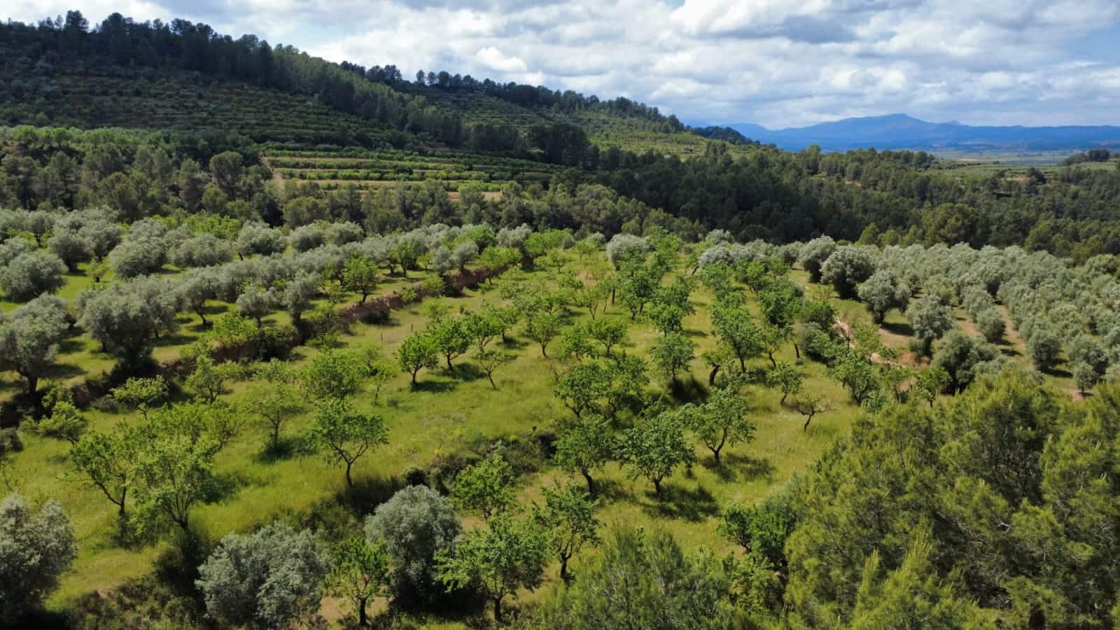 Finca/Herregård til salgs i Tivissa - € 165 000 (Ref: 9796120)