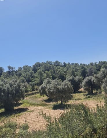 2 chambre Finca/Maison de Campagne à vendre à Flix - 96 000 € (Ref: 9798358)