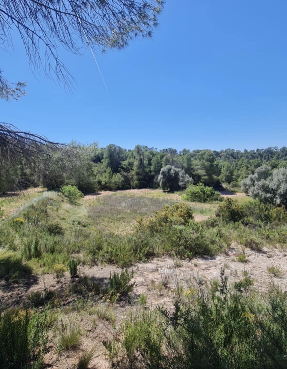 2 sypialnia Finka/Dom wiejski na sprzedaż w Flix - 96 000 € (Ref: 9798358)