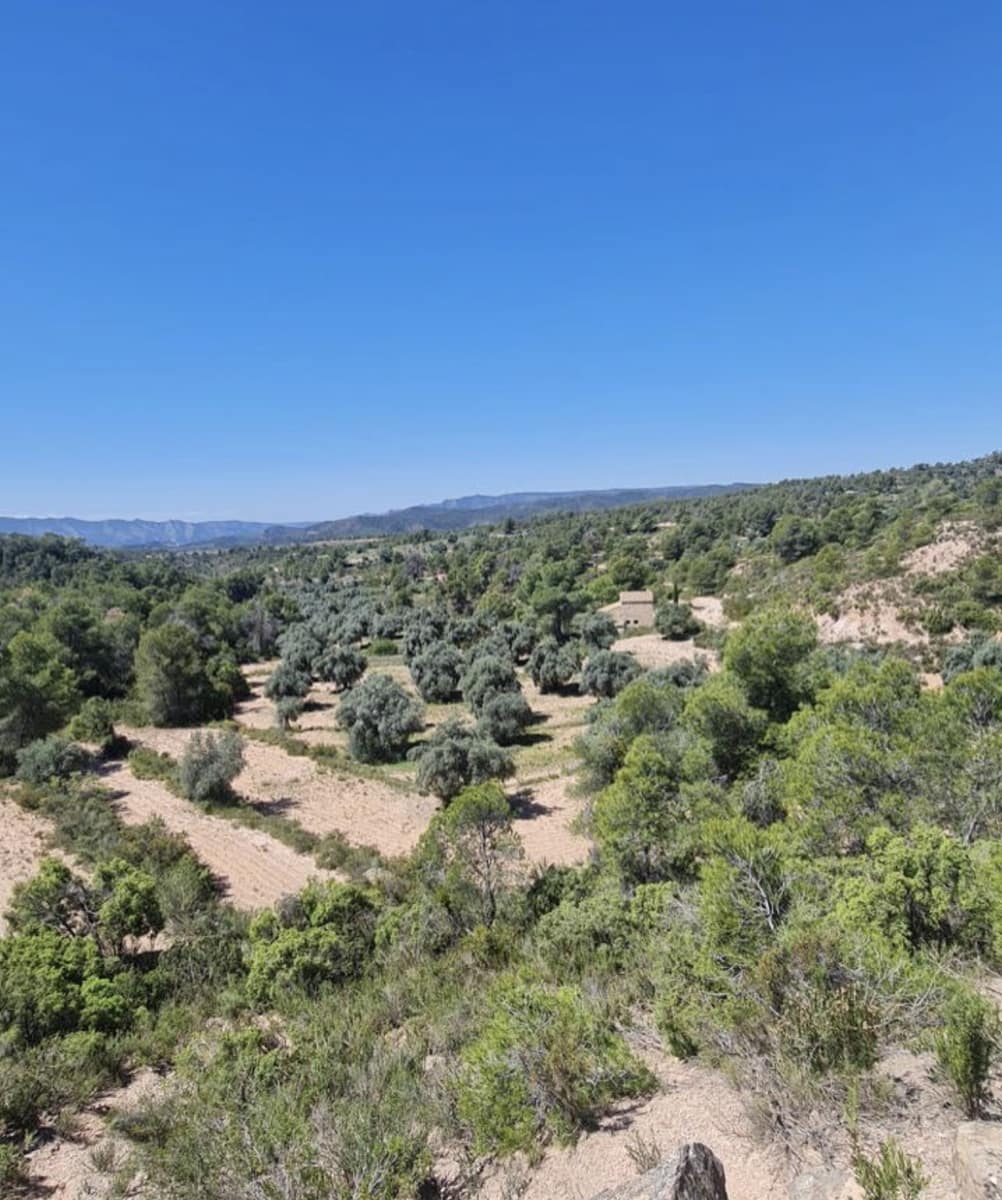 2 sypialnia Finka/Dom wiejski na sprzedaż w Flix - 96 000 € (Ref: 9798358)