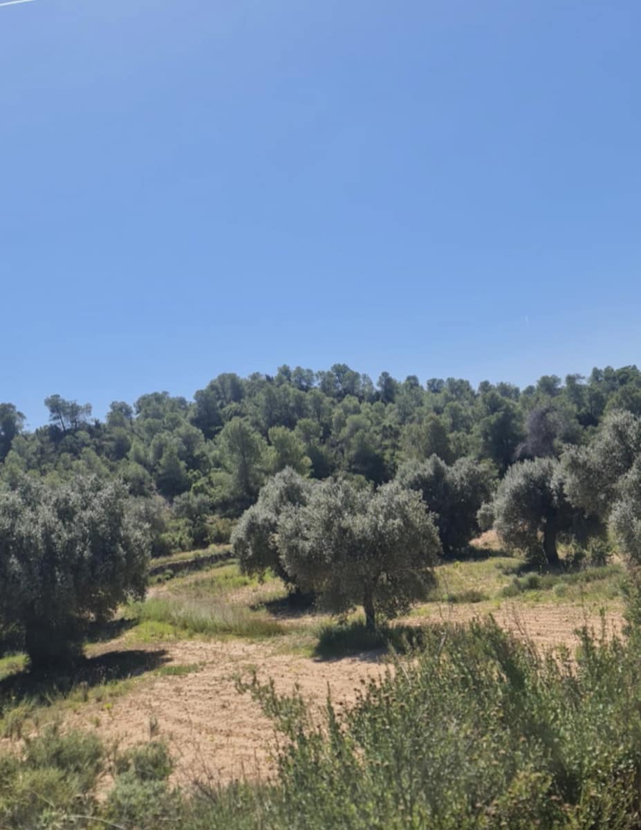 2 soverom Finca/Herregård til salgs i Flix - € 96 000 (Ref: 9798358)