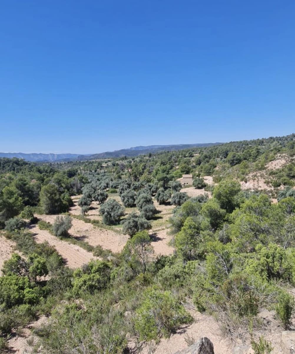 2 soverom Finca/Herregård til salgs i Flix - € 96 000 (Ref: 9798358)