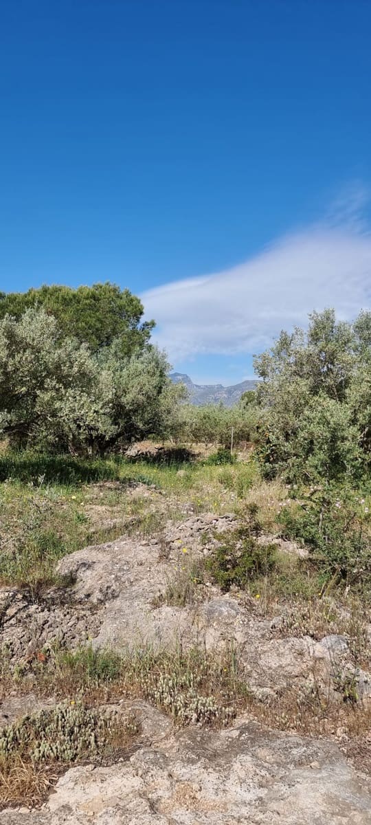 2 soverom Finca/Herregård til salgs i Els Reguers - € 58 000 (Ref: 9804980)