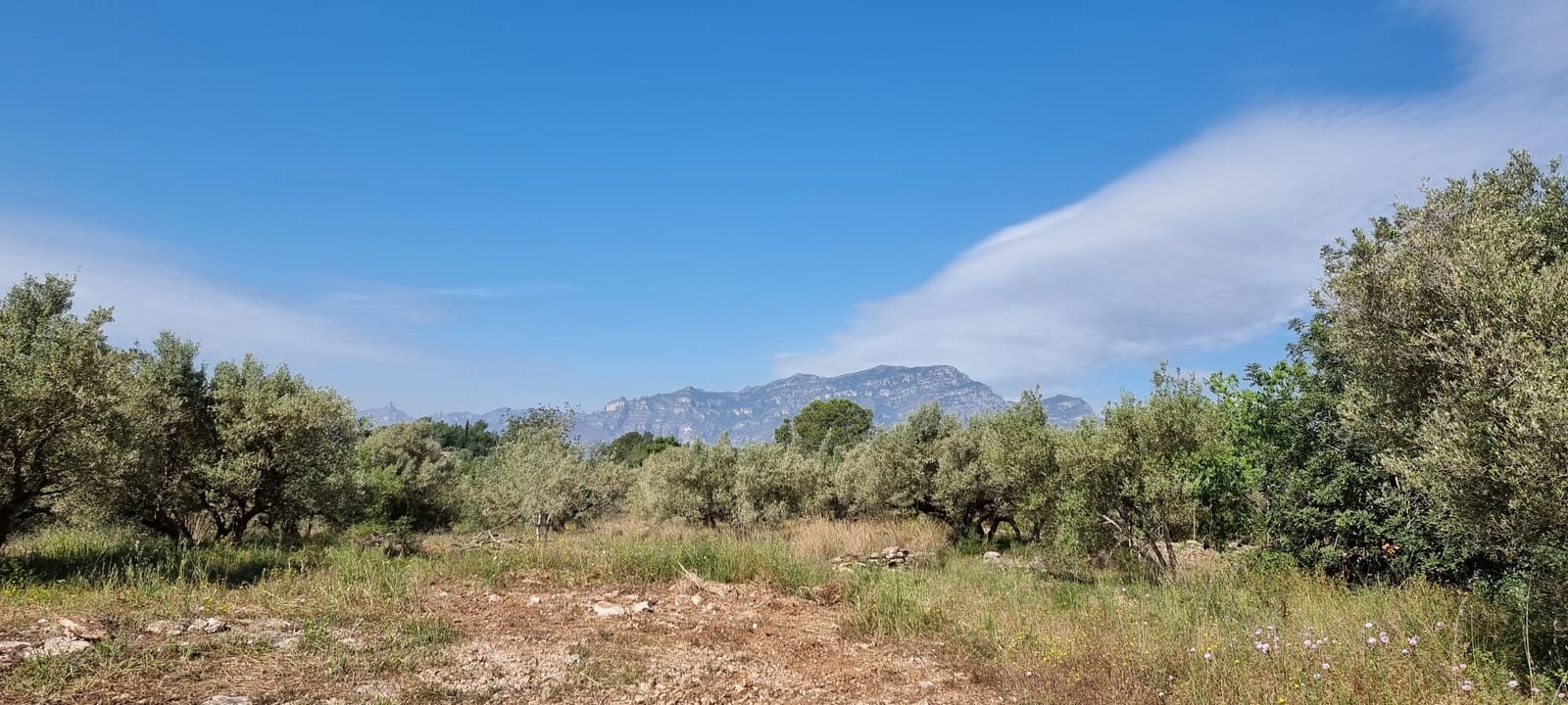 2 soverom Finca/Herregård til salgs i Els Reguers - € 58 000 (Ref: 9804980)