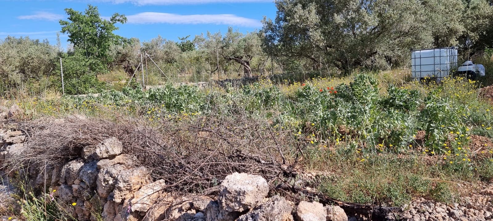 2 soverom Finca/Herregård til salgs i Els Reguers - € 58 000 (Ref: 9804980)