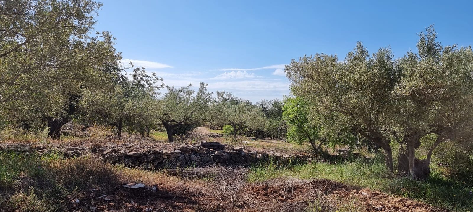 2 soverom Finca/Herregård til salgs i Els Reguers - € 58 000 (Ref: 9804980)