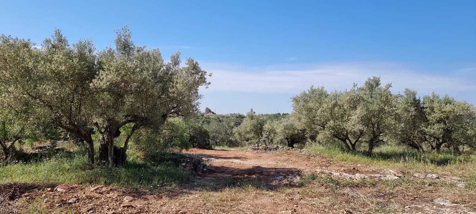 2 soverom Finca/Herregård til salgs i Els Reguers - € 58 000 (Ref: 9804980)