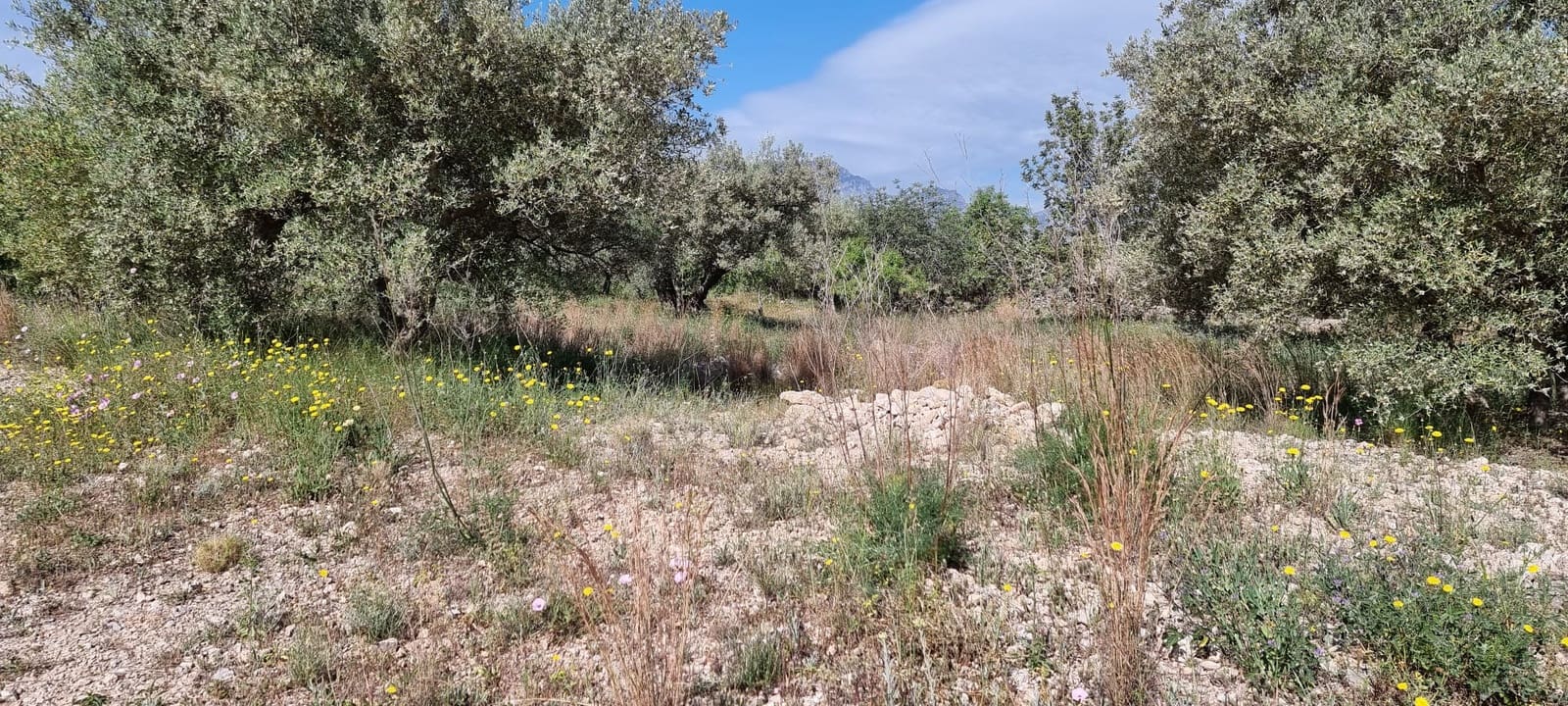 2 soverom Finca/Herregård til salgs i Els Reguers - € 58 000 (Ref: 9804980)