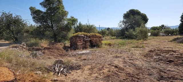 2 sovrum Finca/Hus på landet till salu i Els Reguers, Tortosa - 58 000 € (Ref: 9804980)