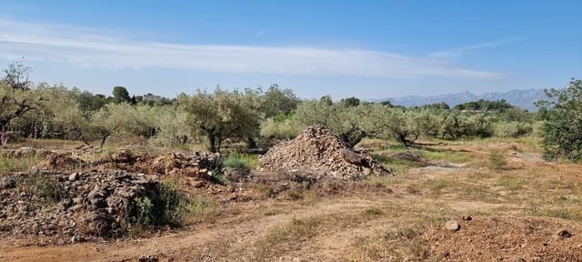 2 sovrum Finca/Hus på landet till salu i Els Reguers, Tortosa - 58 000 € (Ref: 9804980)