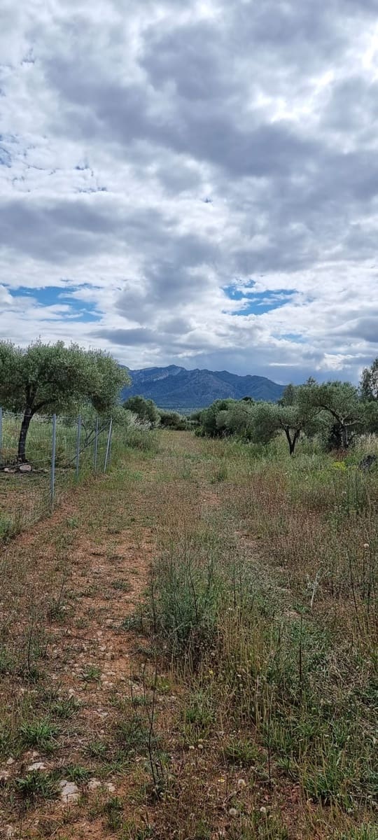 2 bedroom Finca/Country House for sale in Ginestar - € 120,000 (Ref: 9826072)