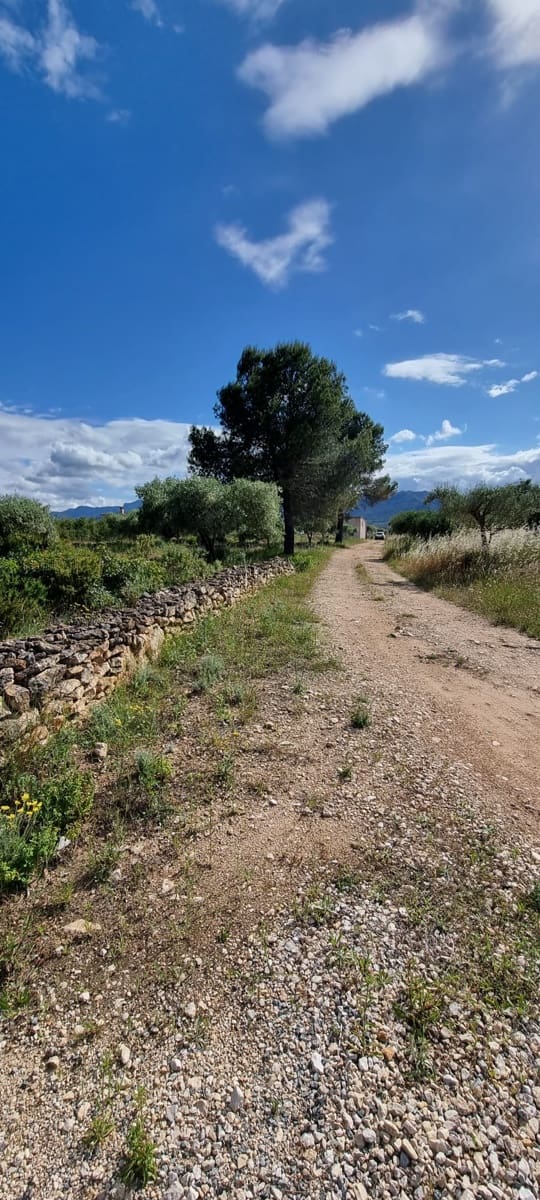 2 bedroom Finca/Country House for sale in Ginestar - € 120,000 (Ref: 9826072)