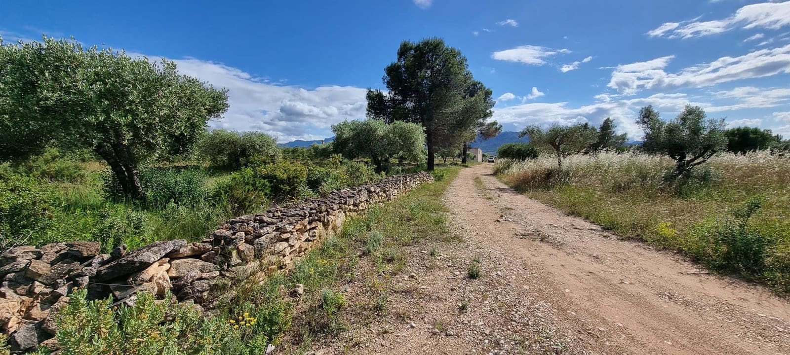 2 bedroom Finca/Country House for sale in Ginestar - € 120,000 (Ref: 9826072)