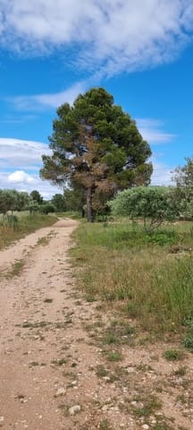 2 quarto Quinta/Casa Rural para venda em Ginestar - 120 000 € (Ref: 9826072)
