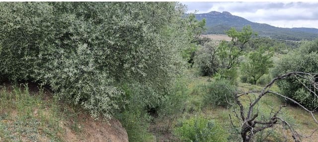 Finca/Landehus til salg i Móra d'Ebre - € 15.000 (Ref: 9826132)