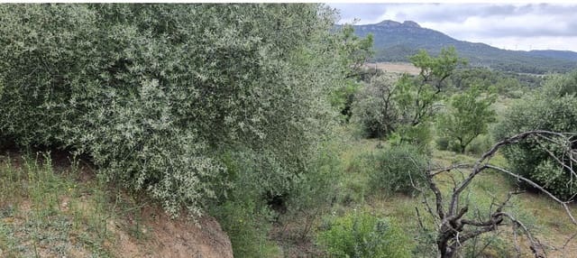 Finca/Landehus til salg i Móra d'Ebre - € 15.000 (Ref: 9826132)