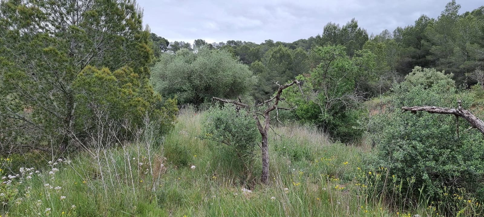 Finca/Casa di Campagna in vendita in Mora d'Ebre - 15.000 € (Rif: 9826132)