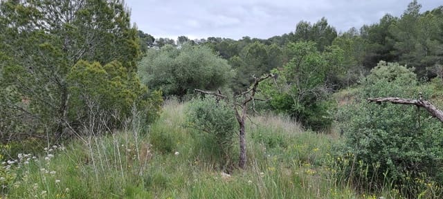 Finca/Landehus til salg i Móra d'Ebre - € 15.000 (Ref: 9826132)