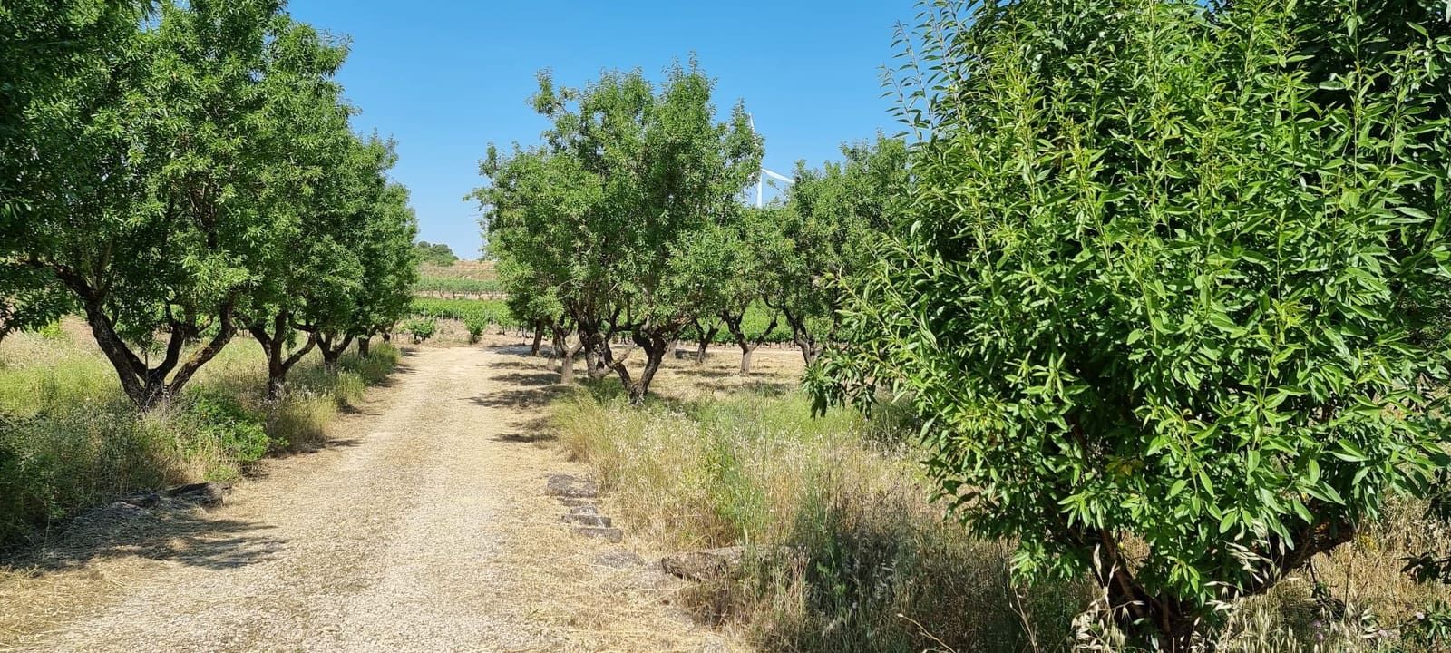 2 chambre Finca/Maison de Campagne à vendre à Gandesa - 115 000 € (Ref: 9870443)