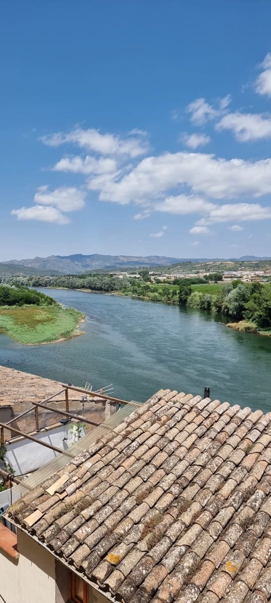 6 bedroom Townhouse for sale in Mora d'Ebre - € 78,000 (Ref: 9875457)