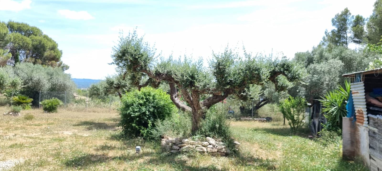 3 soverom Finca/Herregård til salgs i Mora d'Ebre med garasje - € 235 000 (Ref: 9886378)