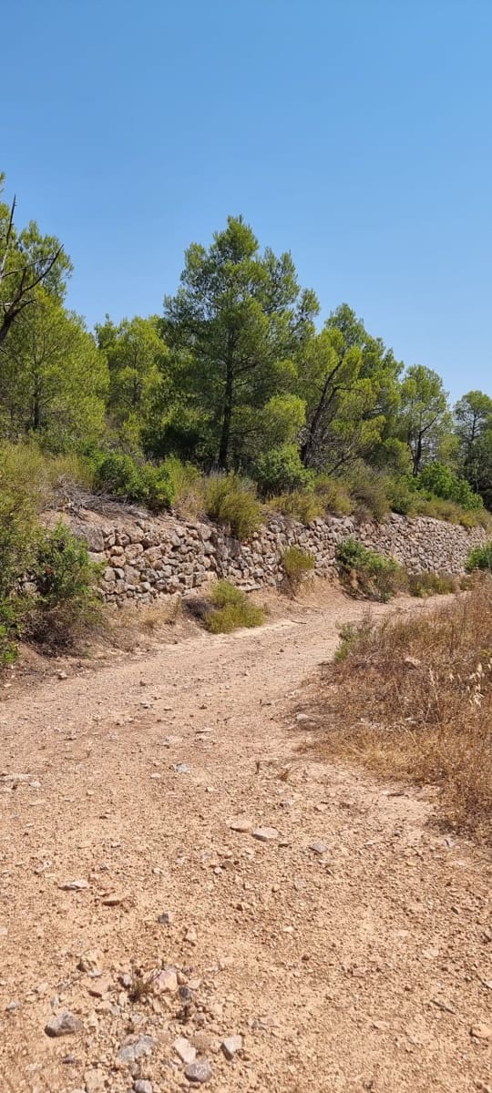 Finca/Country House for sale in Miravet - € 46,000 (Ref: 9958889)