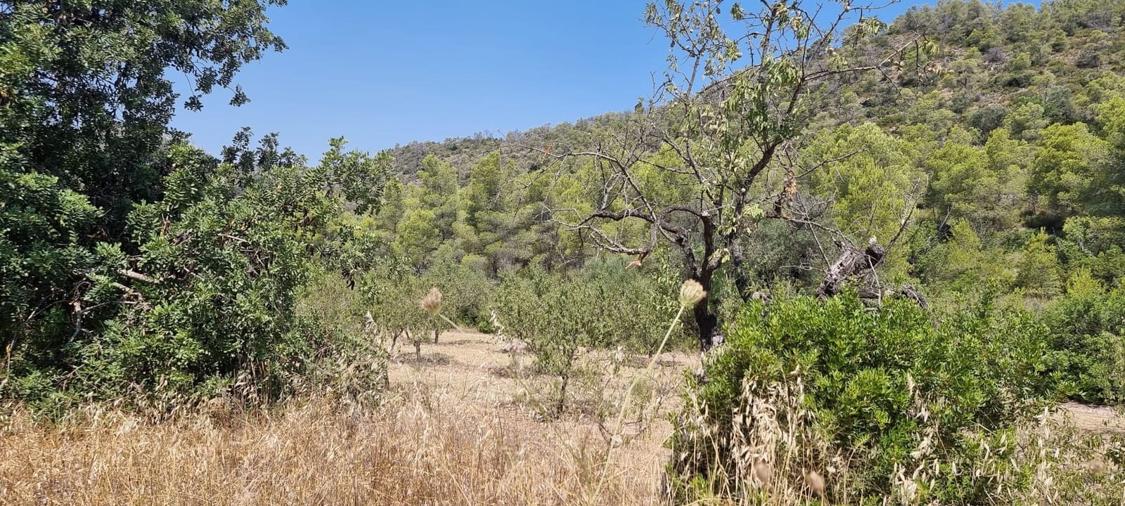 Finca/Country House for sale in Miravet - € 46,000 (Ref: 9958889)